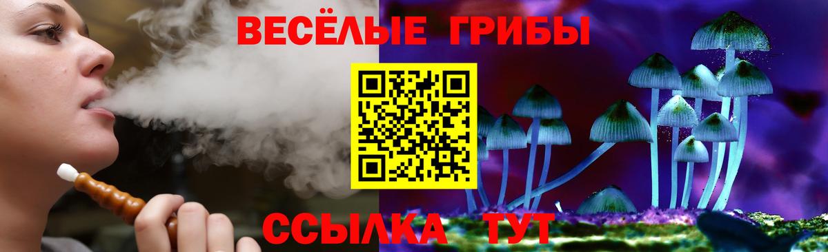 Лесной  как найти закладки  Псилоцибиновые грибы Cubensis  Вход с VPN  Псилоцибиновые грибы Magic Shrooms 